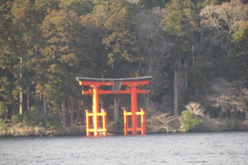 Torii gate of Hakone Jinja