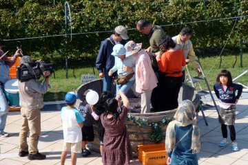 One of their many special events - stomping of the grapes!