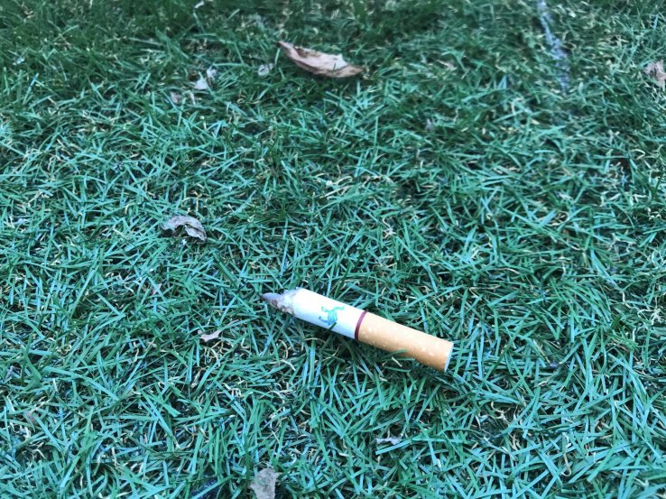 Cigarette butt. “Hama rule” bans littering in the town. Littering garbage, cigarette butts is disallowed. Violators may have to pay a fine of ¥20,000 or less.  