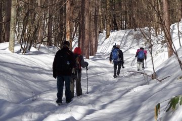 Winter walk in the forest on Kaida Kogen Highland.