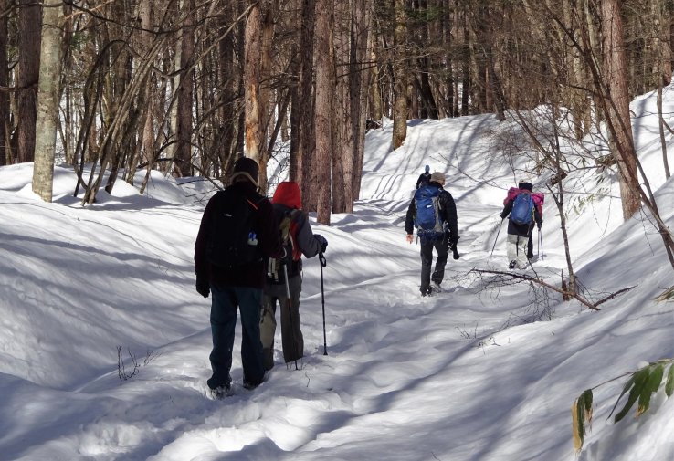Winter walk in the forest on Kaida Kogen Highland.