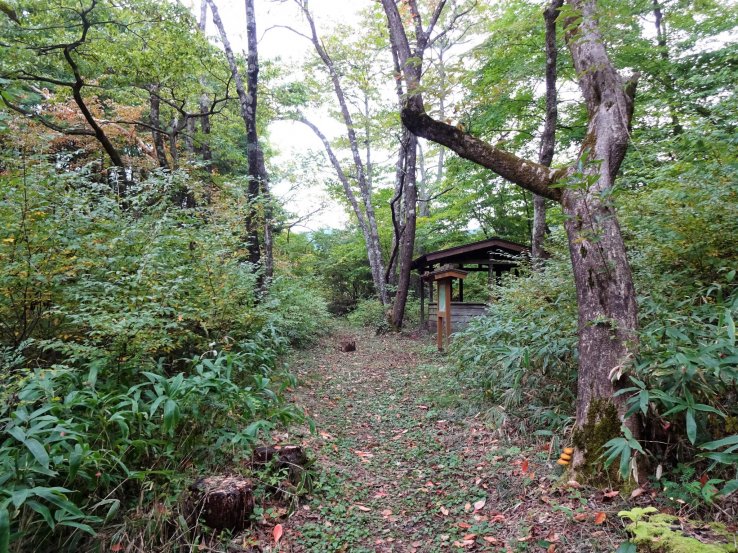 Rest area along a forest trail in the Kizo Valley. 