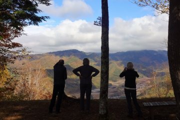 Autumn forest on the Nakasendo trail. 