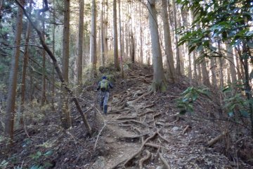 Climbing Mount Jinba