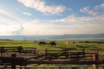 Mount Aso