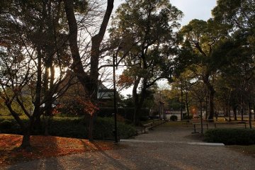 Garden of Toji in the twilight