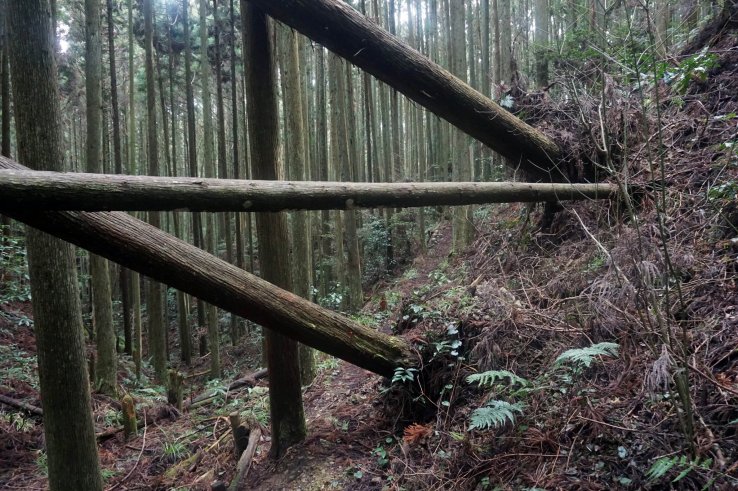 Fallen trees block the path to Kyozuka 17