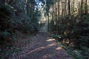 An isolated farm road on the way to Kyozuka 18