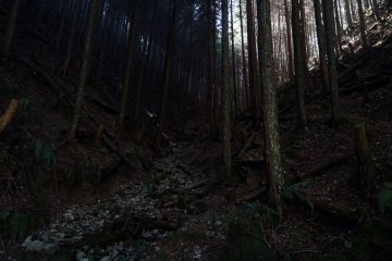 The hidden trail to Kyozuka 18