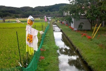 <p>Scarecrow along the river</p>