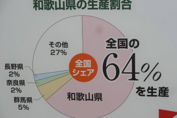 The stats speak for themselves: Wakayama ranks top in ume production