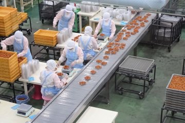 A visit to Nakata Food's factory, seen from behind a window