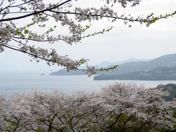 The Yunoko Cherry Line in Kumamoto