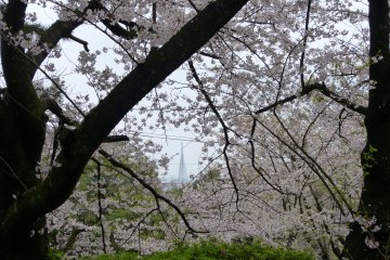 Nishi Park, Fukuoka