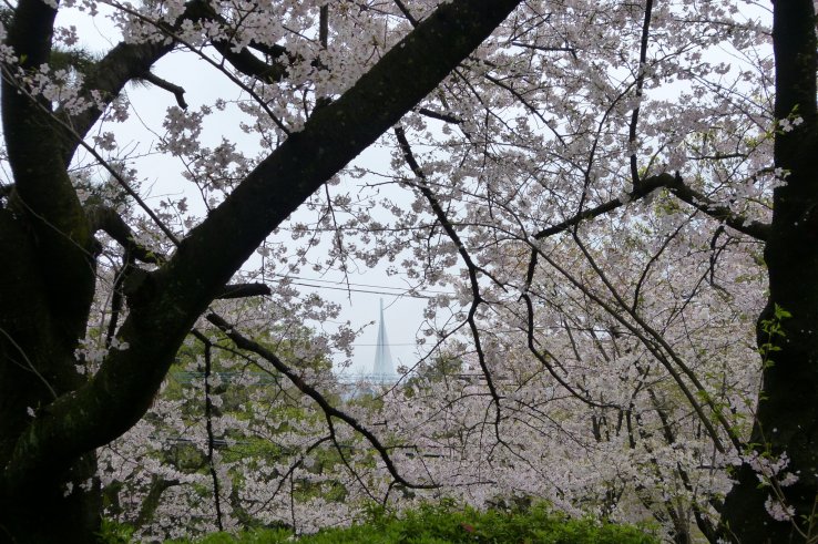 Nishi Park, Fukuoka