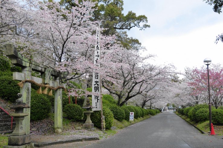 Ogi Park, Saga