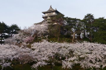 Maruoka Castle Park