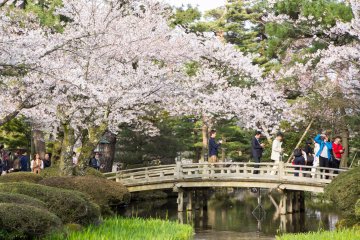 Spring at Kenrokuen, Ishikawa Prefecture