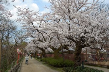 Takaoka Castle Park