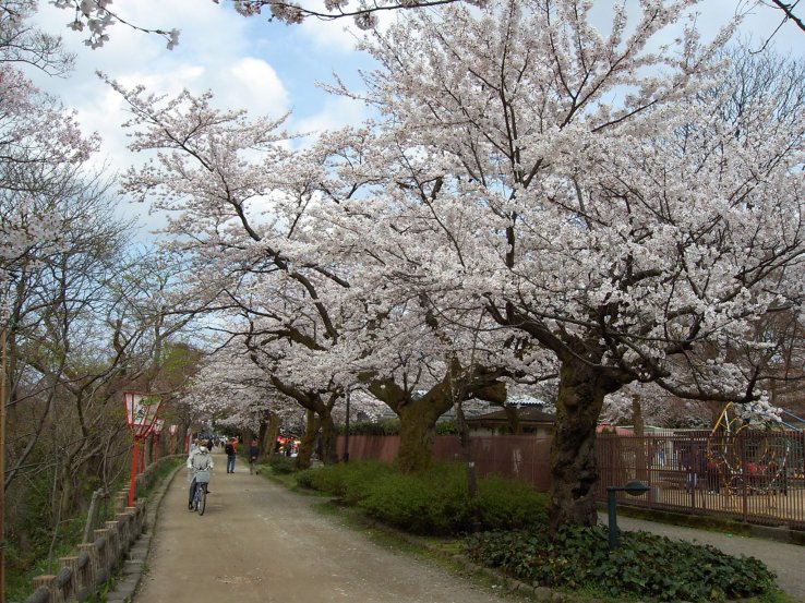 Takaoka Castle Park