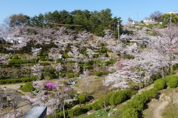 Senkoji Park