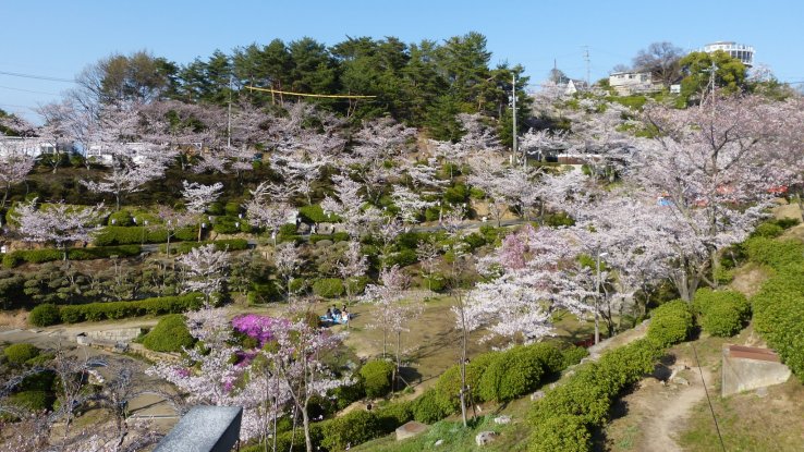 Senkoji Park