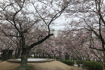 Tokiwa Park, Yamaguchi