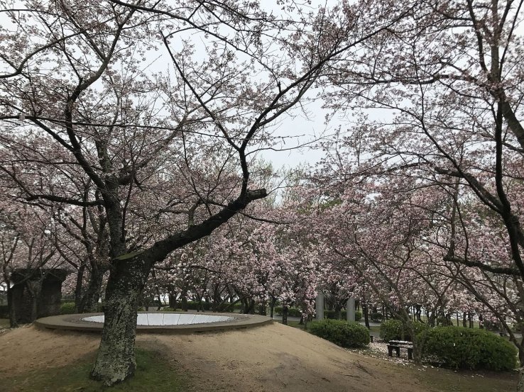 Tokiwa Park, Yamaguchi