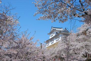 Kakuzan Park by Tsuyama Castle