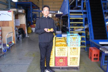 Mr. Oura from Sowakajuen explains the different levels of sweetness of mikan