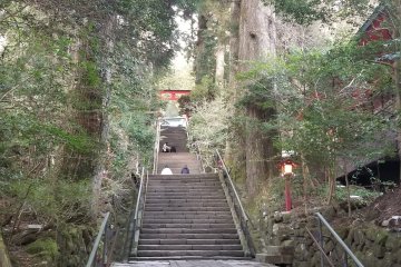 Going up the stairs at Hakone Shrine