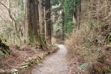 Walking along Cedar Avenue
