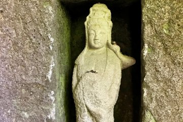 Dive Deep Into Kamakura