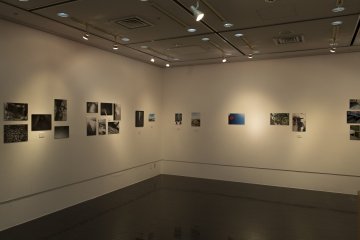 The large gallery space is perfect for those wishing to rent it