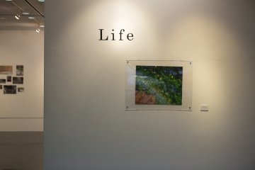The current exhibition 'Life' hosts the work of some of Kobe's young artists