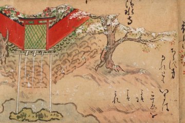 Cherry Blossom Viewing at the Tokyo National Museum 2021