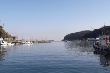 The harbour