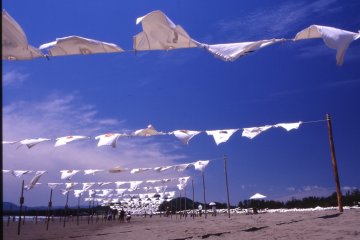 Seaside T-Shirt Gallery 2021