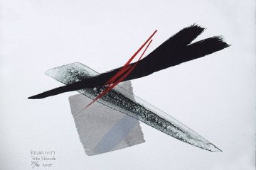 Toko Shinoda Exhibition 2021