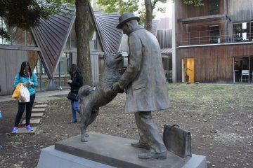 Bunkyo City Ward - Landmarks & History