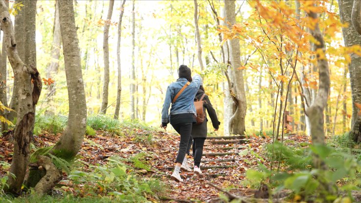 Hiking the trails