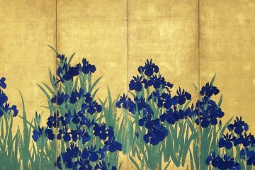 Irises: The Allure of Color 2021