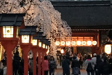 Approach to the main sanctuary. This is where the procession will take place. 