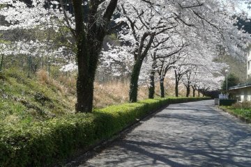Green Slow Mobility (Gurisuro)