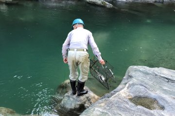 Locals try to catch eel here