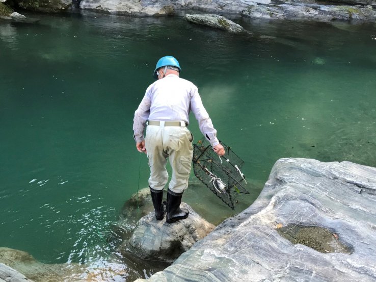 Locals try to catch eel here