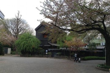 Cafe Imasa, viewed from the park