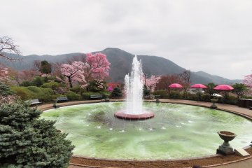 Hakone Spring 2021