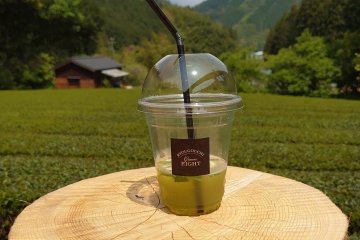 Sipping a (non-alcoholic) Tea Mojito from the Tea Terrace