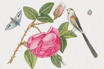 Kew Gardens Flowers Exhibition 2021